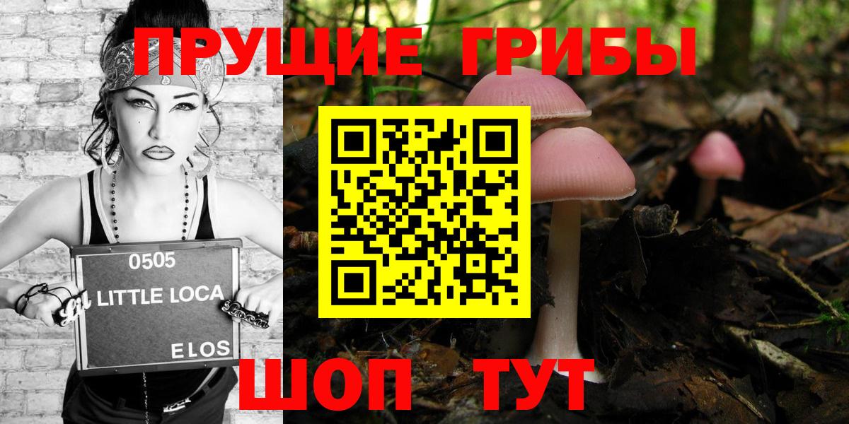 Галлюциногенные грибы Cubensis Карачаевск
