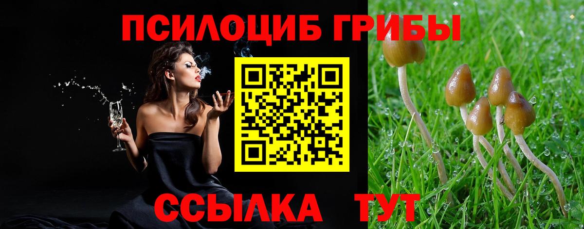 Карачаевск  Псилоцибиновые грибы GOLDEN TEACHER  Галлюциногенные грибы прущие грибы  Вход с VPN 